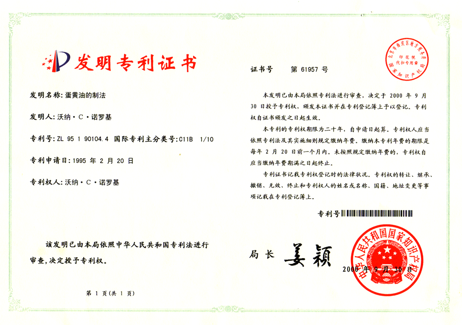 China - Patent