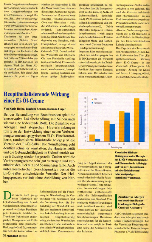 Artikel aus der Zeitschrift "Raum -und-Zeit" 3